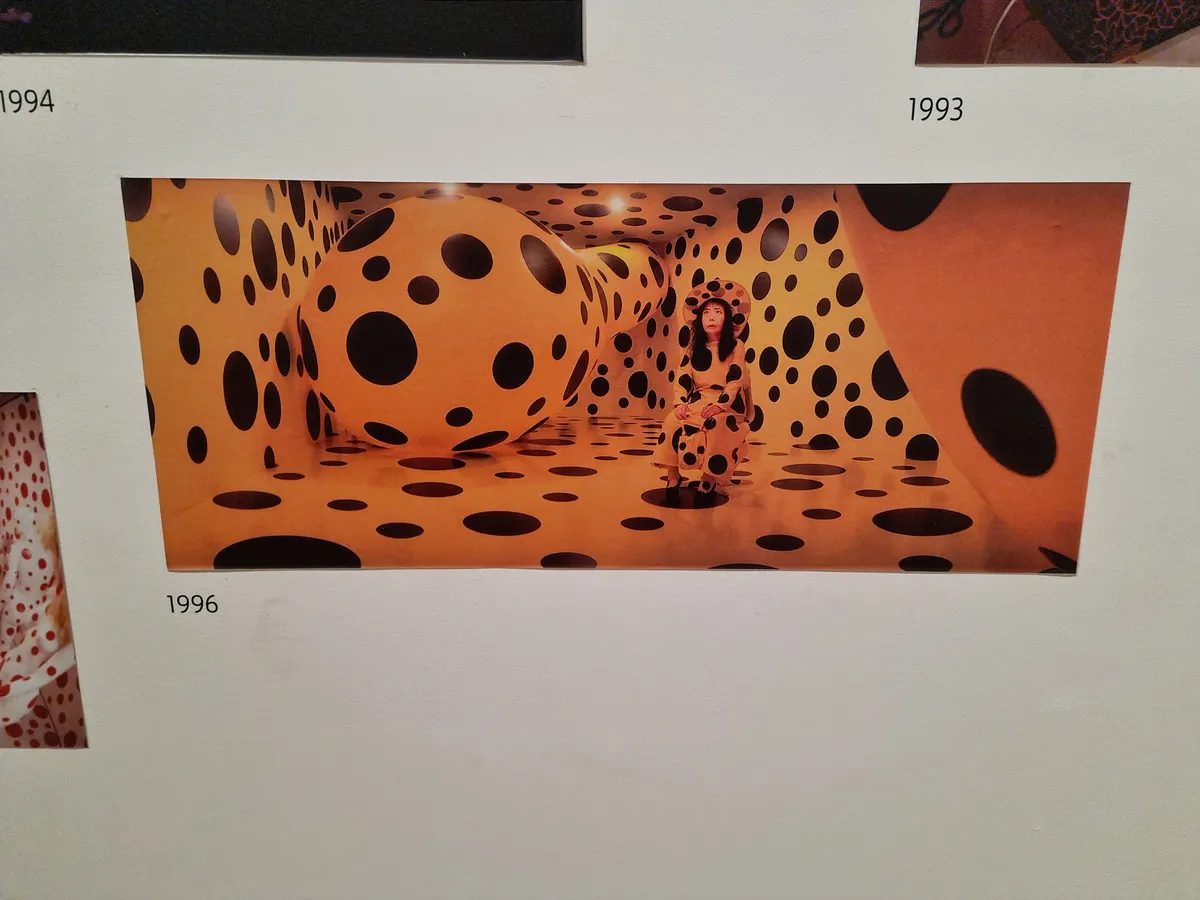Yayoi Kusama Gallery Image 10